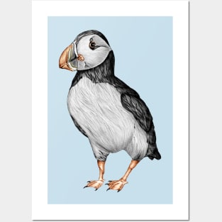 Little Puffin Posters and Art